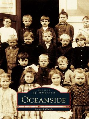 Cover of the book Oceanside by Michael W. R. Davis