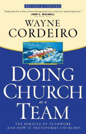Cover of the book Doing Church as a Team by Jim Burns