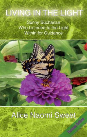 Cover of the book Living in the Light by Daniel A. Bochner Ph.D.