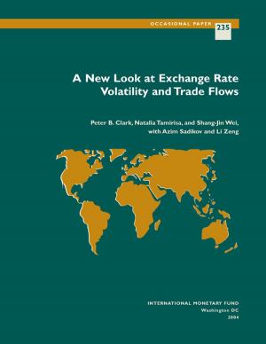 Cover of the book A New Look at Exchange Rate Volatility and Trade Flows by Andrew Mr. Crockett, Morris Mr. Goldstein