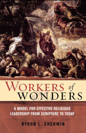 Cover of the book Workers of Wonders by Jack Levin, Julie B. Wiest