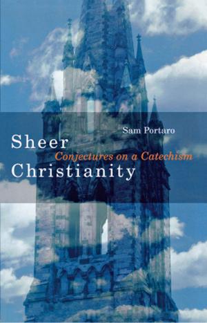 Cover of the book Sheer Christianity by Wayne-Danie Berard