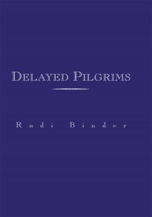 Cover of the book Delayed Pilgrims by Saja Bo Storm