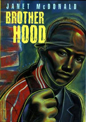 Cover of the book Brother Hood by Janet McDonald