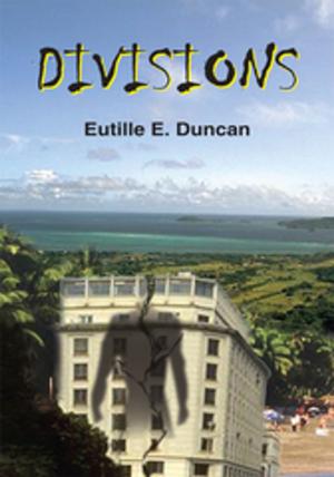 Book cover of Divisions