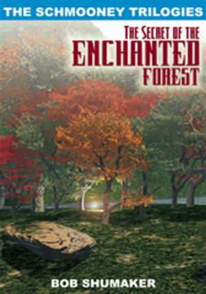 Cover of the book The Secret of the Enchanted Forest by Brother Prater