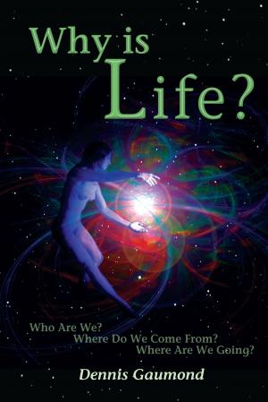 Cover of the book Why Is Life? by Robert  Phelps