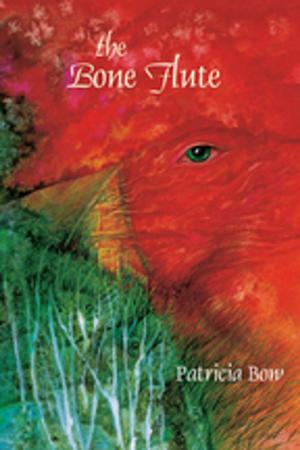 Cover of the book The Bone Flute by Andrea Beck