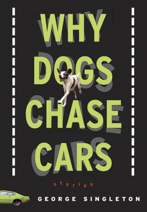 Cover of the book Why Dogs Chase Cars by Susan Hand Shetterly