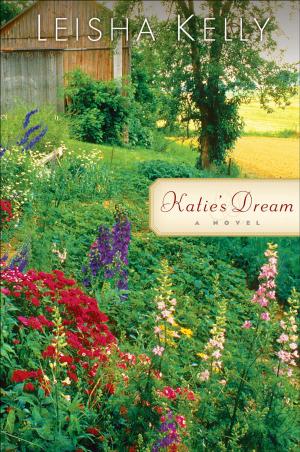 Cover of the book Katie's Dream by M. Scott Boren