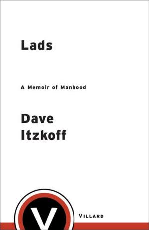 Cover of the book Lads by John Saul