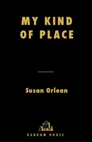 Cover of the book My Kind of Place by Nancy O'Hare