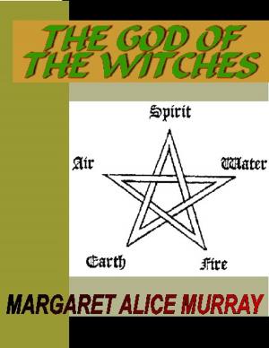 bigCover of the book The God of the Witches by 