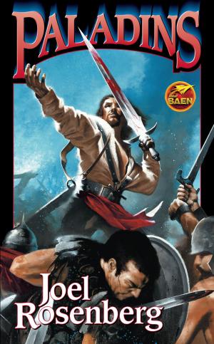 Cover of the book Paladins by John Ringo, Michael Z. Williamson