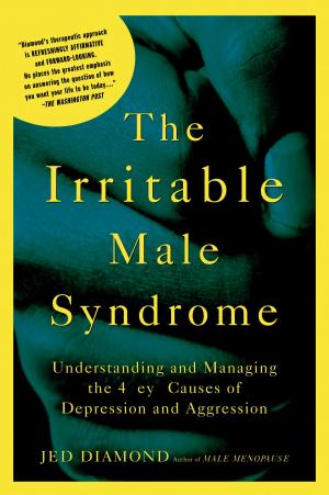 Cover of the book The Irritable Male Syndrome by Michael Makai