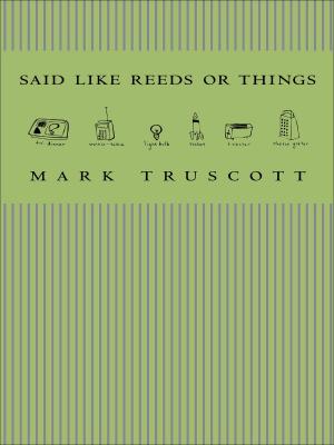 Cover of the book Said Like Reeds or Things by Heather Birrell