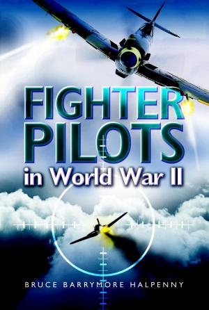 Cover of the book Fighter Pilots in World War II by Richard Hopton