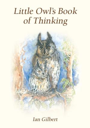 Cover of the book Little Owl's Book of Thinking by Michael Berman, David Brown
