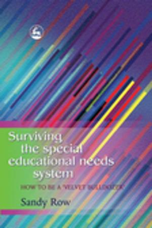 Cover of the book Surviving the Special Educational Needs System by Phoebe Caldwell