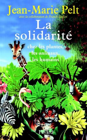 Cover of the book La solidarité by Yannick Haenel