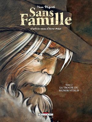 Cover of Sans famille T02