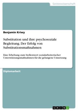 Cover of the book Substitution und ihre psychosoziale Begleitung. Der Erfolg von Substitutionsmaßnahmen by Ron Klug