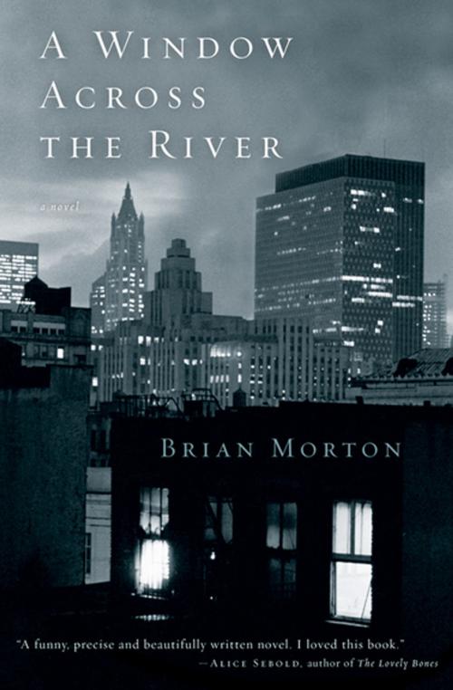 Cover of the book A Window Across the River by Brian Morton, Houghton Mifflin Harcourt