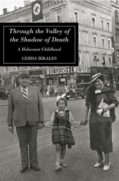 Cover of the book Through the Valley of the Shadow of Death by Cerda Bikales, iUniverse