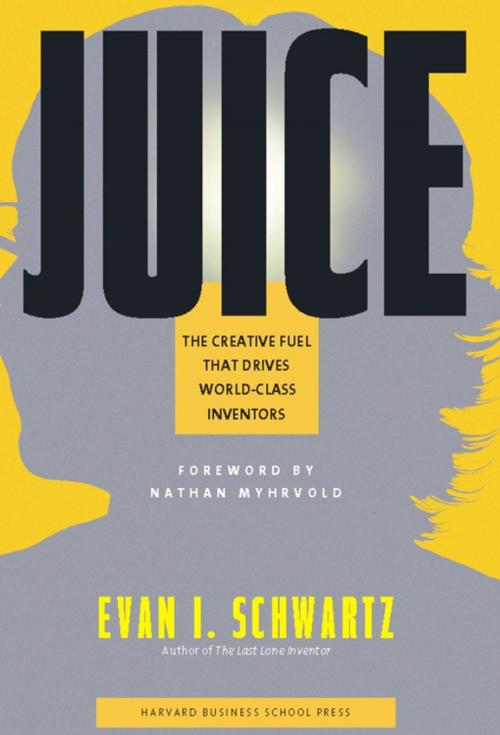 Cover of the book Juice by Evan I. Schwartz, Harvard Business Review Press