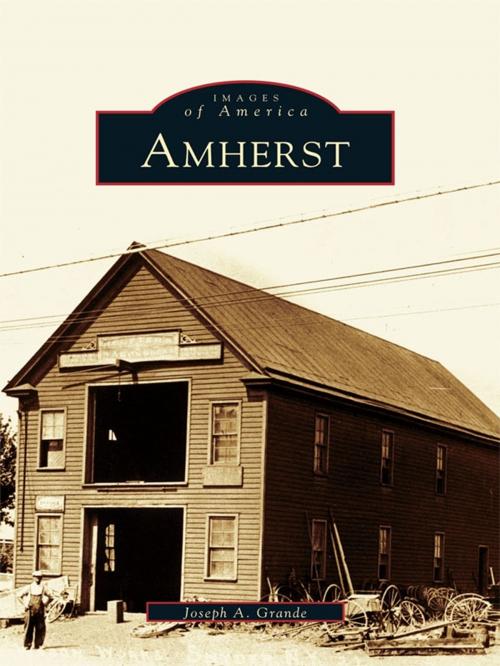 Cover of the book Amherst by Joseph A. Grande, Arcadia Publishing Inc.