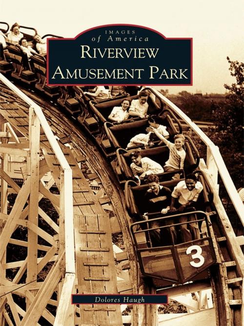 Cover of the book Riverview Amusement Park by Dolores Haugh, Arcadia Publishing Inc.