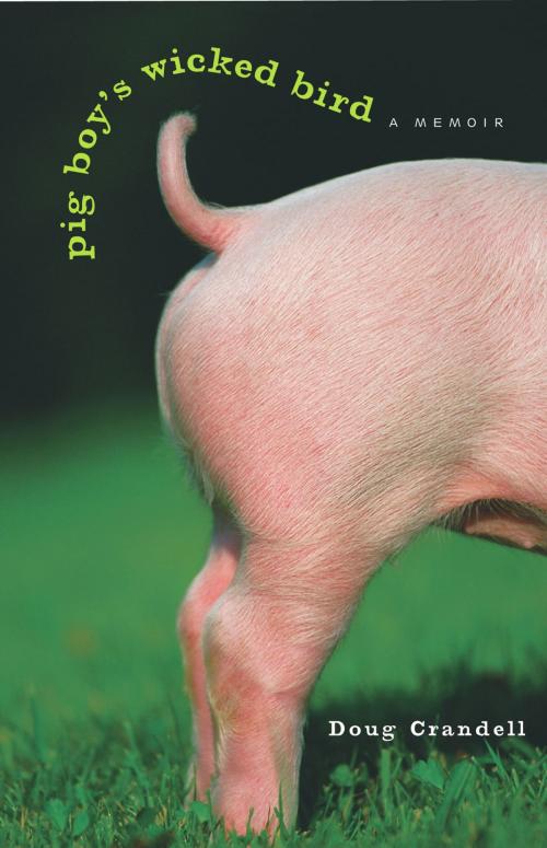 Cover of the book Pig Boy's Wicked Bird by Doug Crandell, Chicago Review Press