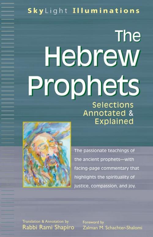 Cover of the book The Hebrew Prophets: Selections Annotated & Explainedd by Rabbi Rami Shapiro, SkyLight Paths Publishing