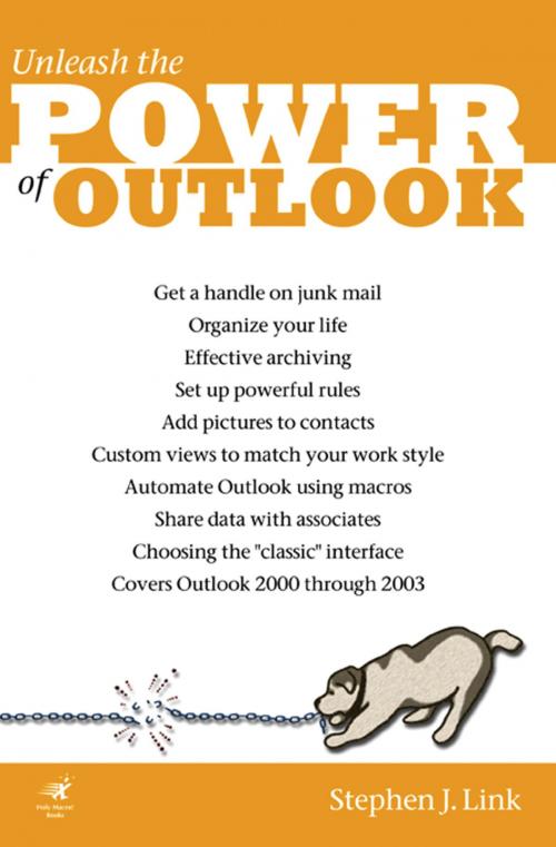 Cover of the book Power Outlook by Stephen J. Link, Holy Macro! Books