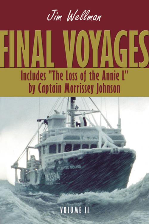 Cover of the book Final Voyages Volume II by Jim Wellman, Flanker Press