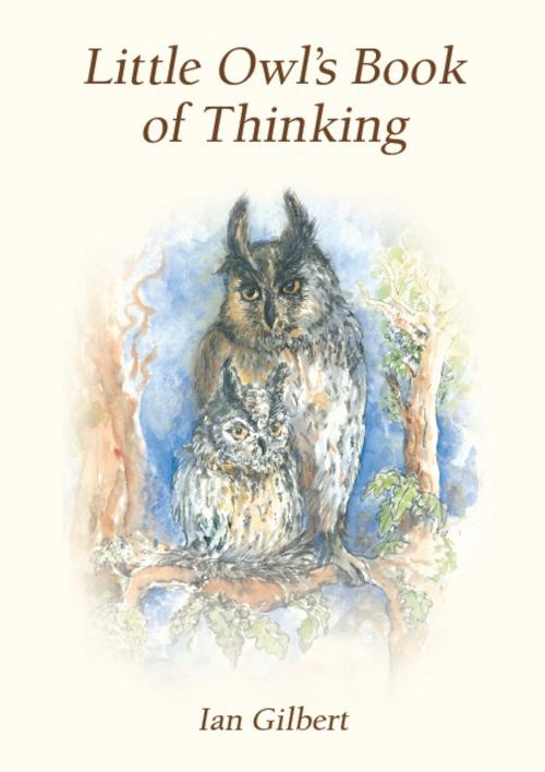Cover of the book Little Owl's Book of Thinking by Ian Gilbert, Crown House Publishing