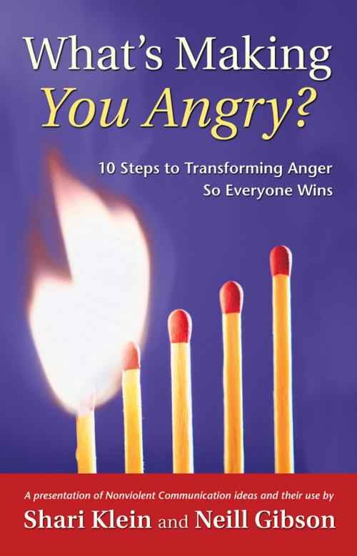 Cover of the book What's Making You Angry? by Shari Klein, Neill Gibson, Puddledancer Press