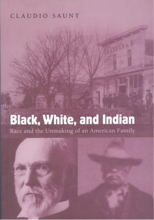 Cover of the book Black, White, and Indian by Joshua Jampol
