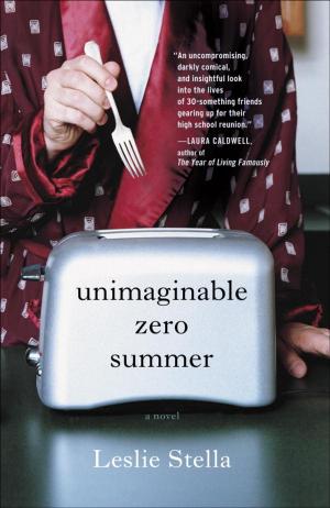 Cover of the book Unimaginable Zero Summer by Leslie Allen