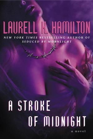 Book cover of A Stroke of Midnight