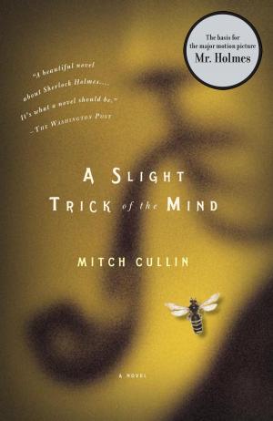 Cover of the book A Slight Trick of the Mind by Julie Orringer