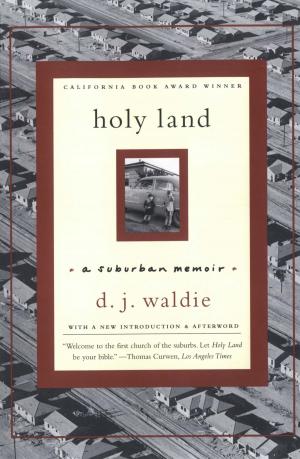 Cover of the book Holy Land: A Suburban Memoir by Terri Apter