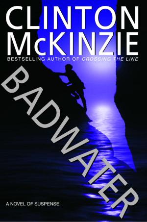 Cover of the book Badwater by Suzy Fincham-Gray
