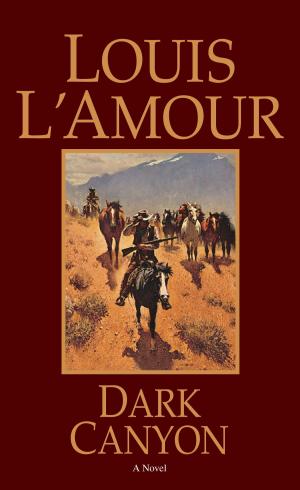 Cover of the book Dark Canyon by David Gemmell