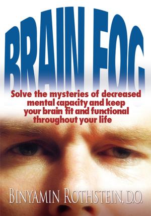Cover of the book Brain Fog by H. John Lyke PH D