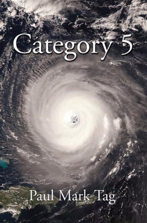 Cover of the book Category 5 by Albert Shansky