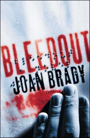Cover of the book Bleedout by Dr. Joy McElroy