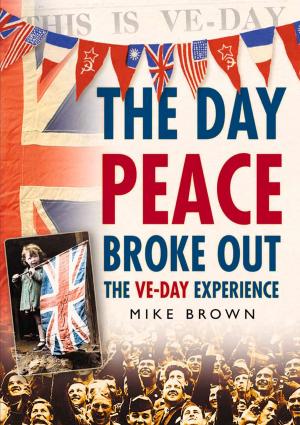 Cover of the book Day Peace Broke Out by Stephen Manning