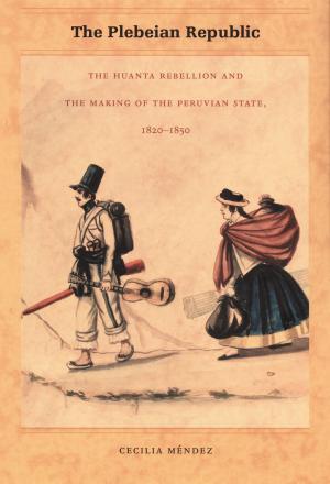 Cover of the book The Plebeian Republic by Leela Gandhi, Julia Adams, George Steinmetz