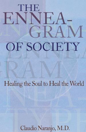 Cover of the book The Enneagram of Society by Michael Hutchison, Lee Perry